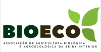 logo antigo insta 1
